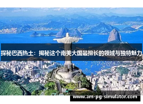 探秘巴西热土：揭秘这个南美大国最擅长的领域与独特魅力