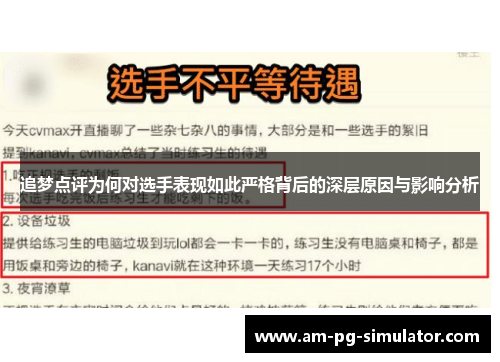 追梦点评为何对选手表现如此严格背后的深层原因与影响分析