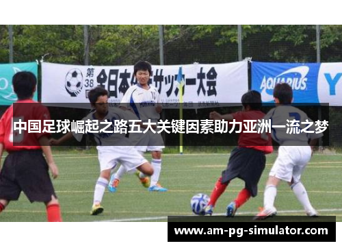 中国足球崛起之路五大关键因素助力亚洲一流之梦