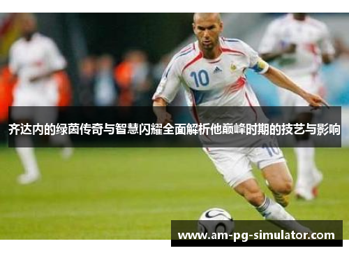 齐达内的绿茵传奇与智慧闪耀全面解析他巅峰时期的技艺与影响