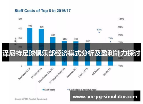 泽尼特足球俱乐部经济模式分析及盈利能力探讨