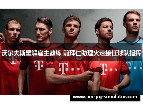 沃尔夫斯堡解雇主教练 前拜仁助理火速接任球队指挥 沃尔夫斯堡解雇主教练 前拜仁助理火速接任球队指挥