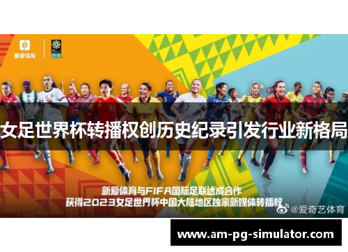 女足世界杯转播权创历史纪录引发行业新格局