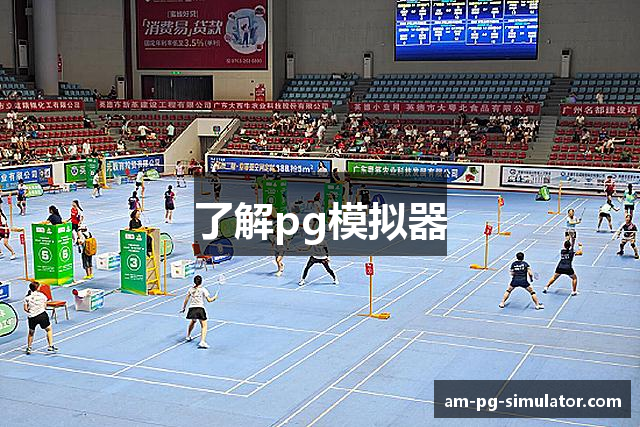 了解pg模拟器